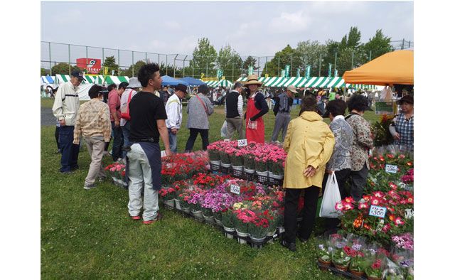 第43回 花の祭典