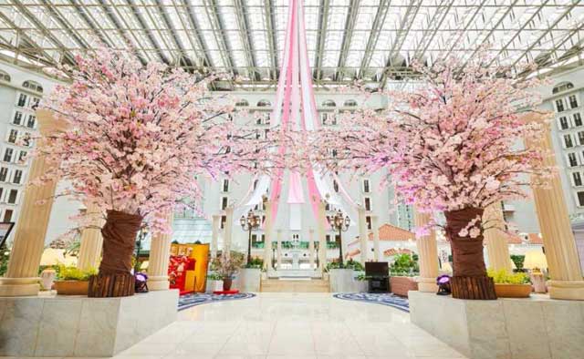 アトリウムロビーで桜を楽しもう!
~東京ベイ舞浜ホテル クラブリゾート『サクラサク』~
