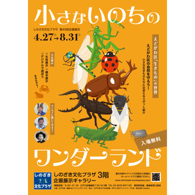 江戸川区に生息する虫たちを通して自然について考える
しのざき文化プラザ 第49回企画展「小さないのちのワンダーランド」
