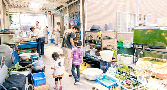 佐々木養魚場