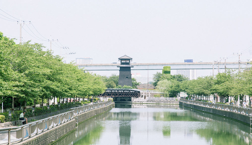 新川、水辺さんぽ