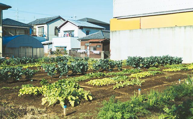 木村農園