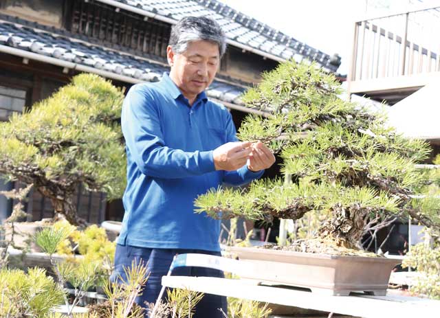  緑と花に心癒される　江戸川春のショートトリップ　特集