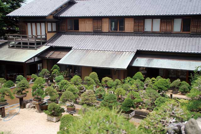  緑と花に心癒される　江戸川春のショートトリップ　特集