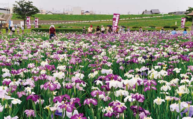 緑と花に心癒される　江戸川春のショートトリップ