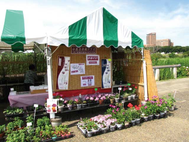 緑と花に心癒される　江戸川春のショートトリップ特集