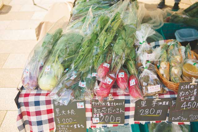 山武の新鮮野菜 鬼平 安田智洋さん・まどかさん特集