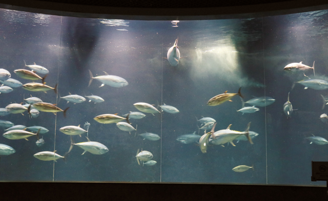 葛西臨海水族園