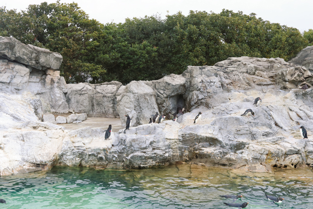 葛西臨海水族園特集