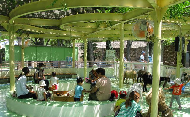 キッズと一緒に行こう♪私の街の公園【葛西・西葛西編】特集