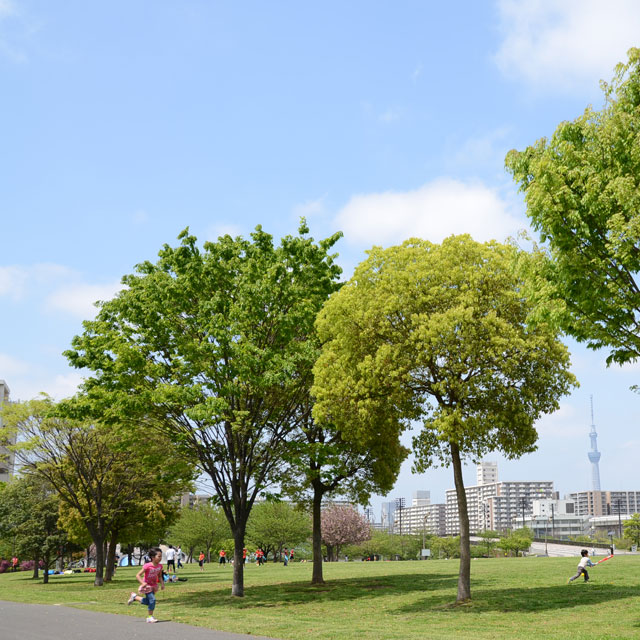 区内でアウトドア満喫　バーベキューができる公園