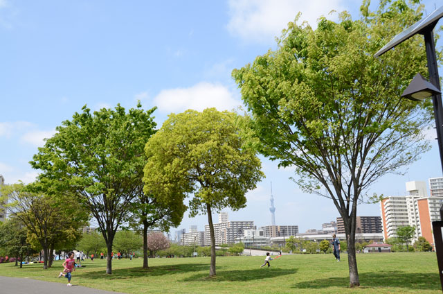 区内でアウトドア満喫　バーベキューができる公園特集