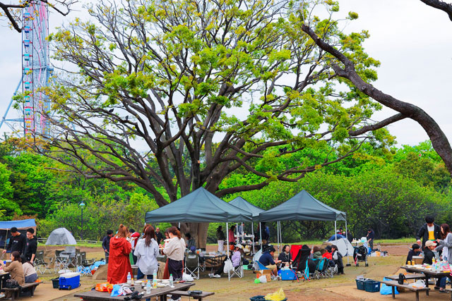 葛西臨海公園で手ぶらでバーベキュー　葛西臨海公園バーベキュー広場特集