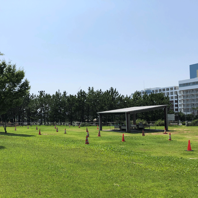 浦安SOTOごはん　緑いっぱいの浦安市総合公園でバーべキュー