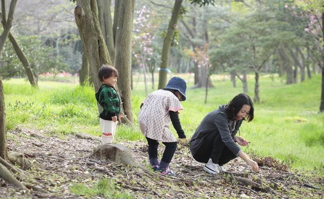 公園の身近な自然が“先生”！ 親子で「森のようちえん」を楽しもう特集