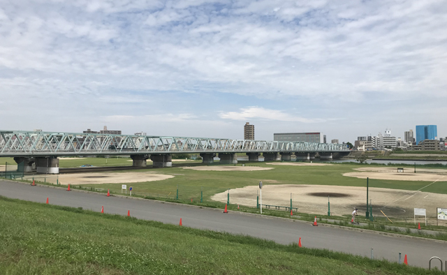 旧江戸川河川敷をサイクリング特集