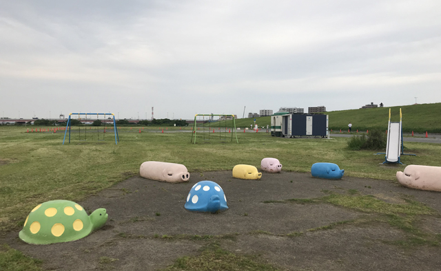 旧江戸川河川敷をサイクリング特集