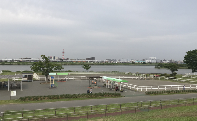 旧江戸川河川敷をサイクリング特集