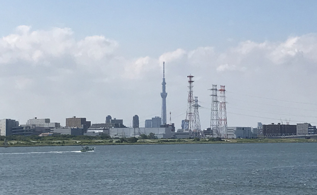 堤防＆葛西臨海公園をランニング特集