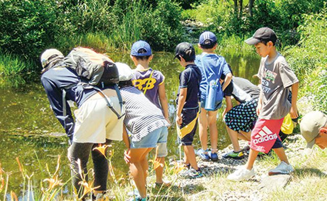 キッズの好奇心・探究心を育てる！　夏休みイベント　生物観察へ行こう特集