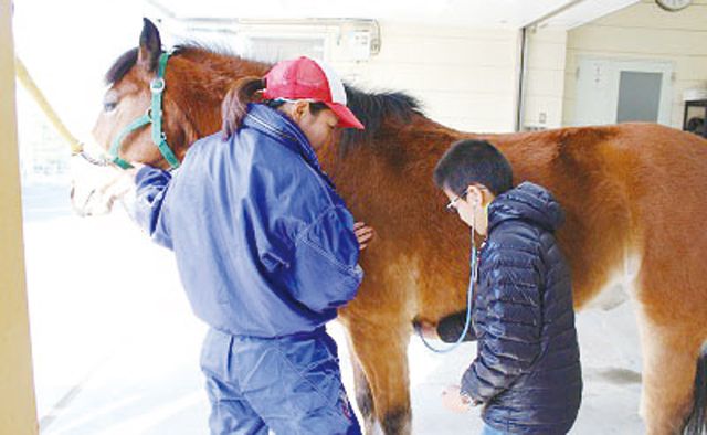 キッズの好奇心・探究心を育てる！　夏休みイベント　生物観察へ行こう特集