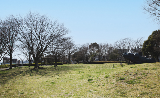 公園で楽しむ休日～大島小松川公園～特集