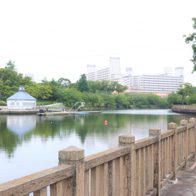 公園バーベキューやデイキャンプ