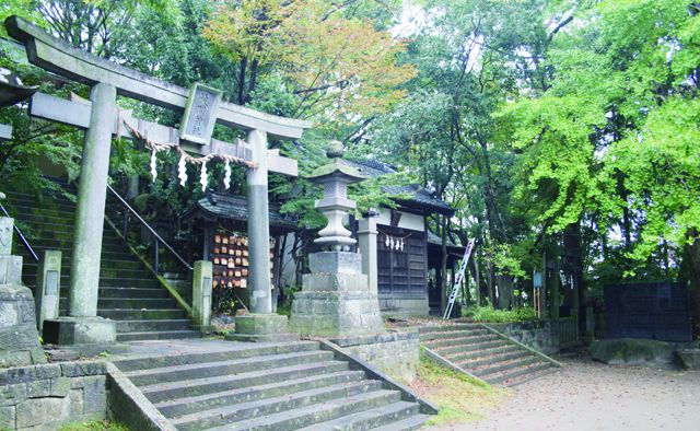 くる年の幸せを祈って地元で初詣！おすすめの神社・お寺をご紹介特集