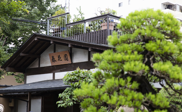 歴史や文化にふれて楽しく感性を磨く 【EDOGAWA CULTURE】特集