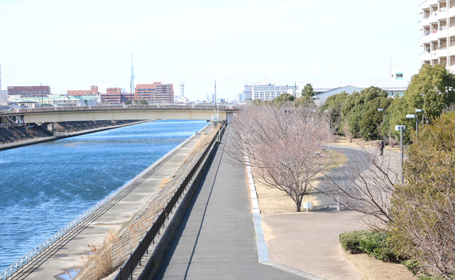 春のおさんぽへ　新浦安～総合公園①特集