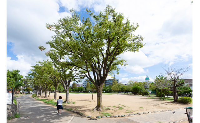 みんなで楽しく憩う公園へ行こう　「駅前公園」