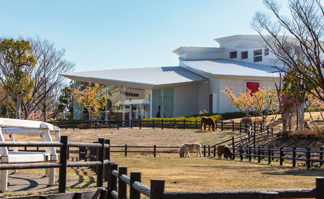 草花や動物に癒される ぽかぽか公園さんぽ「なぎさ公園」