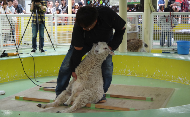 草花や動物に癒される ぽかぽか公園さんぽ「行船公園」特集