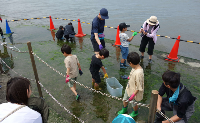 いろいろな体験ができるスポット＆公園案内「三番瀬環境観察館」特集