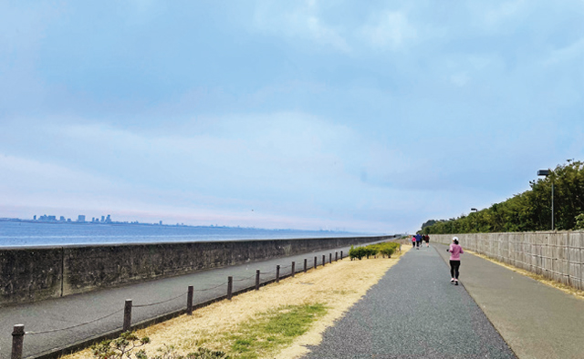 いろいろな体験ができるスポット＆公園案内「parkrun」特集