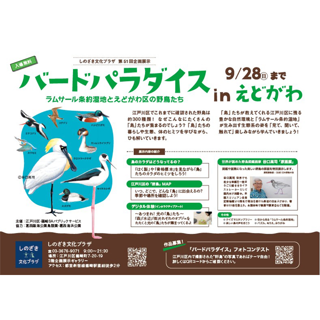 しのざき文化プラザ　バードパラダイス in えどがわ～ラムサール条約湿地と江戸川区の野鳥たち～