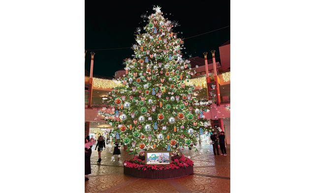 季節のお役立ち情報～クリスマスイベント～【アエルデ】