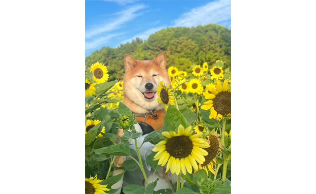 えどがわ推しPR隊が発見！「わたしの癒しスポット」vol.1特集