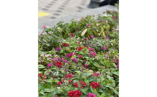 えどがわ推しPR隊が発見！「わたしの癒しスポット」vol.2特集