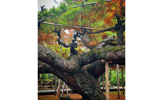 えどがわ推しPR隊が発見！　わたしの「#えど推し」特集