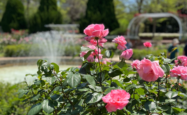 えどがわ推しPR隊が発見！　わたしの「#えど推し」特集