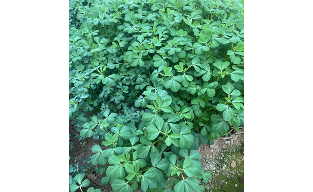 えどがわ推しPR隊が発見！　わたしの「#えど推し」特集