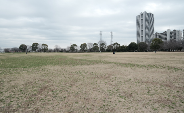 のんびり公園さんぽ〈大島小松川公園エリア〉