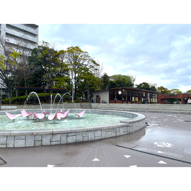 のんびり公園さんぽ〈富士公園・フラワーガーデンエリア〉