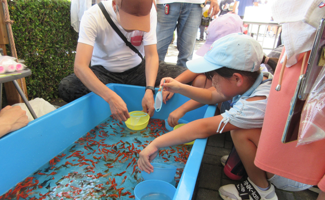 夏の風物詩を堪能するイベント特集