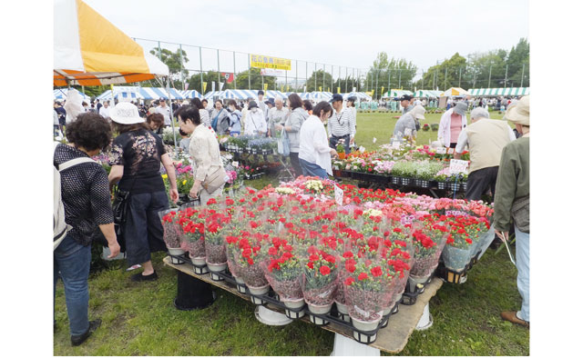 第45回 花の祭典 ~フラワーフェスティバル2019 ~