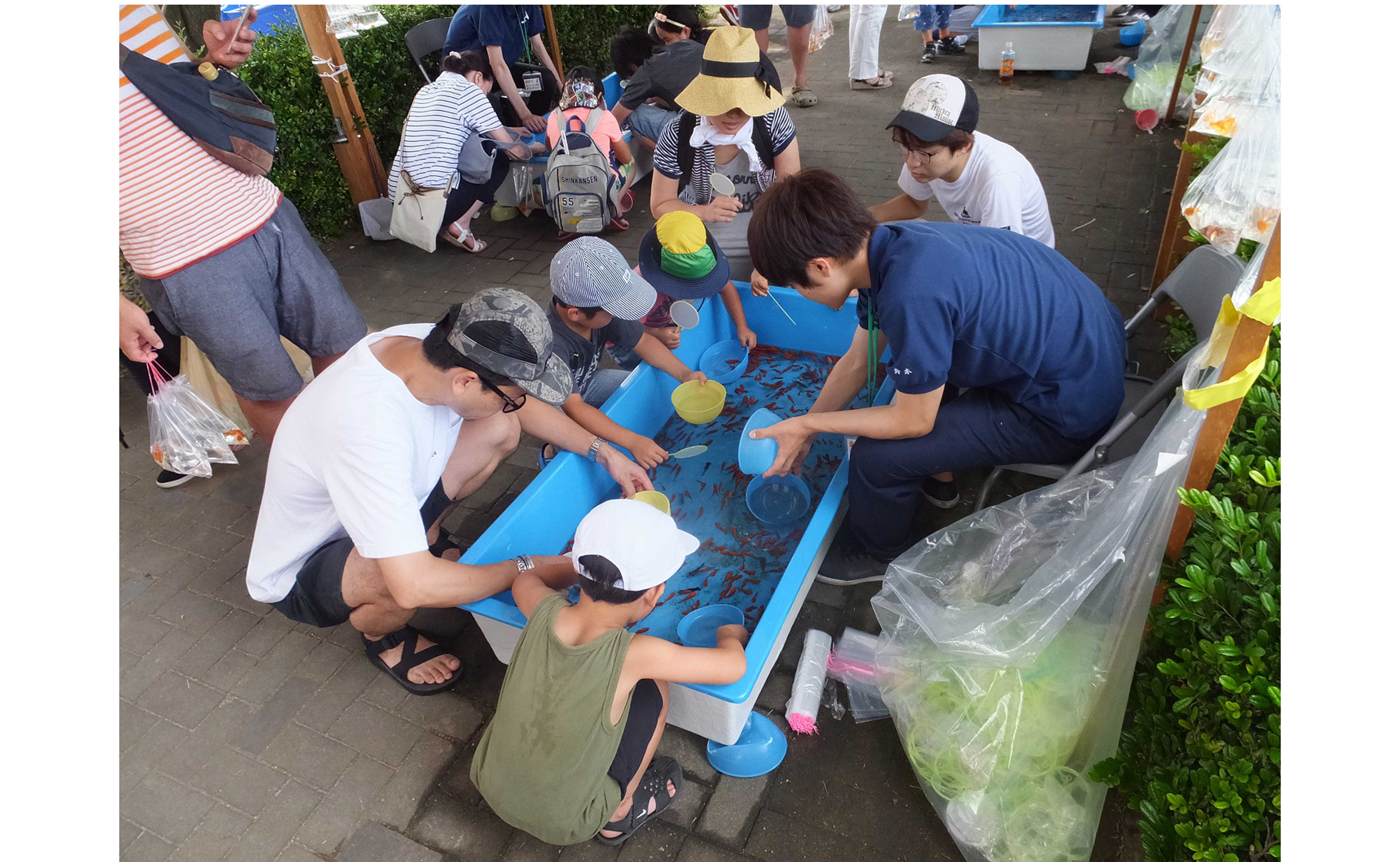 第48 回 金魚まつり