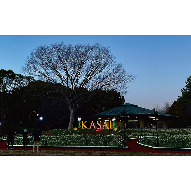ライトアップは2月25日(日)まで！葛西臨海公園で「花と光のムーブメント」
