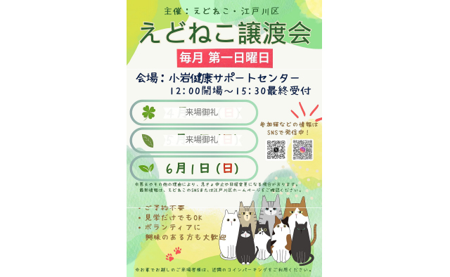 江戸川区、えどねこが主催する「ねこちゃんの譲渡会」