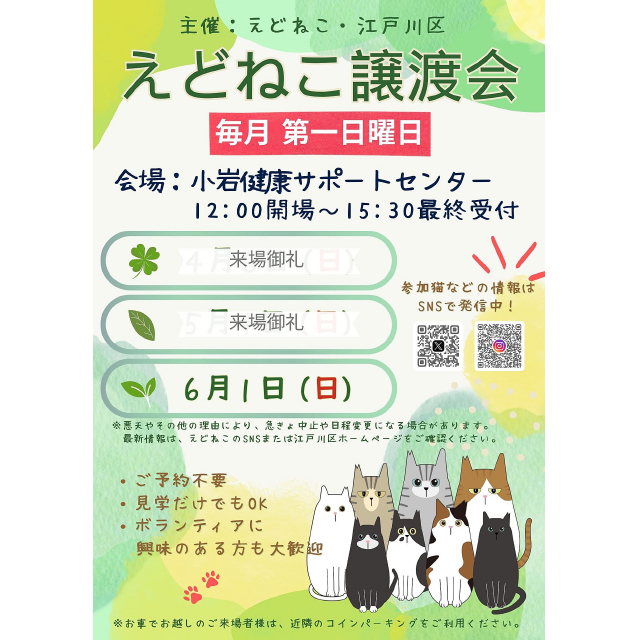 江戸川区、えどねこが主催する「ねこちゃんの譲渡会」